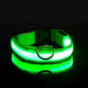Glow in the dark Collar